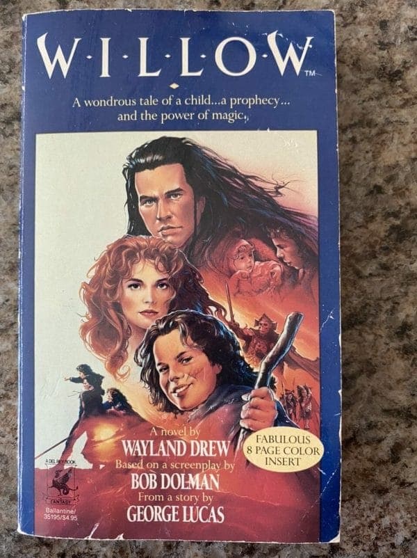 Book cover for Willow
