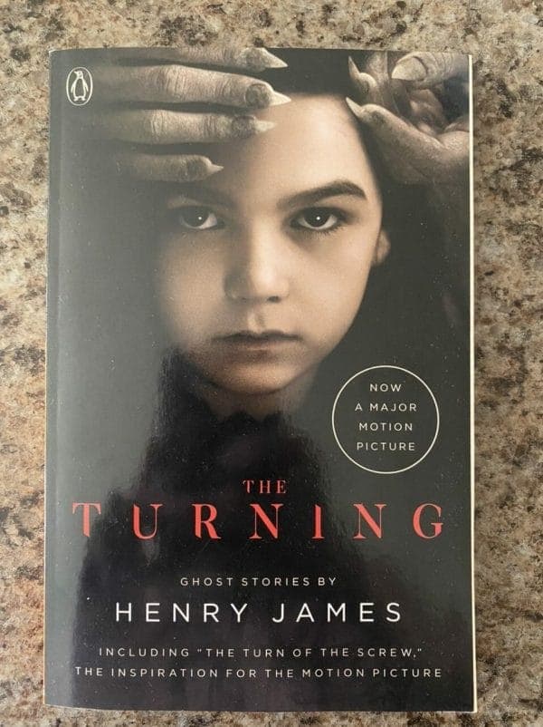 Book cover for The Turning