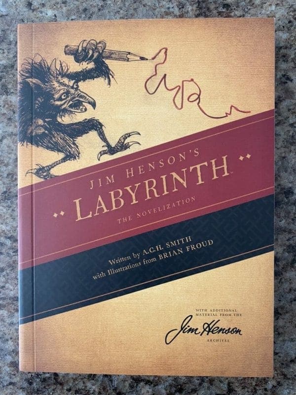 Book cover for Labyrinth